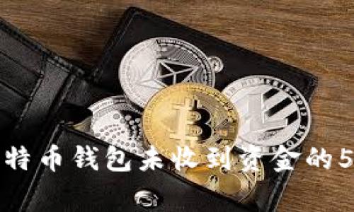如何解决比特币钱包未收到资金的5个常见问题