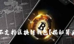 苹果公司为何不支持区块链钱包？揭秘背后的原