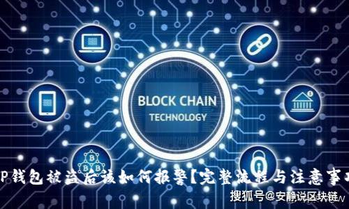 TP钱包被盗后该如何报警？完整流程与注意事项
