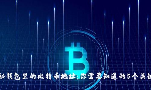 揭秘钱包里的比特币地址：你需要知道的5个关键点