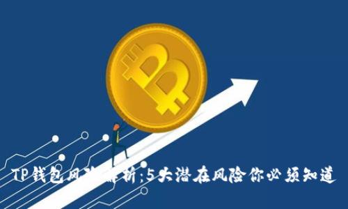 TP钱包风险解析：5大潜在风险你必须知道