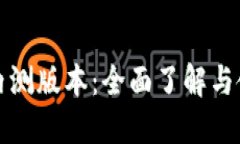 TP钱包内测版本：全面了解与使用指南