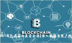 USDT钱包在国内是否合法？深入解析与用户指南