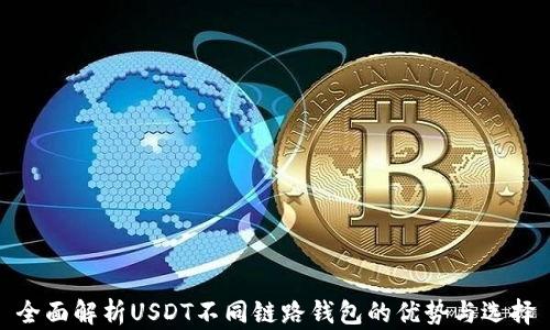 
全面解析USDT不同链路钱包的优势与选择