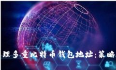 如何管理多重比特币钱包地址：策略与技巧