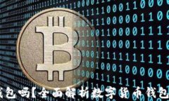 USDT可以放钱包吗？全面解析数字货币钱包的使用