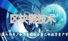 TP钱包：国内外用户如何选择适合自己的数字资产