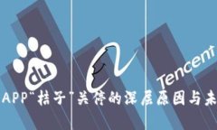 比特币钱包APP“桔子”关停的深层原因与未来走