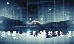  如何在苹果6上下载以太坊钱包：详细指南