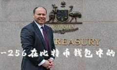 深入了解SHA-256在比特币钱包中的应用与安全性