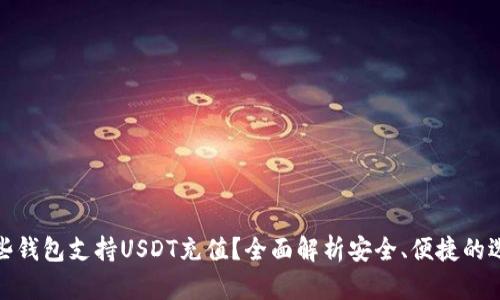哪些钱包支持USDT充值？全面解析安全、便捷的选择