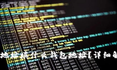 USDT提现地址填什么钱包地址？详细解读与指南