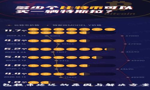 TP钱包提币延迟的原因与解决方案详解