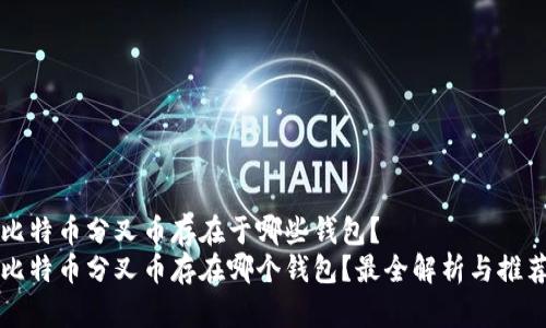 比特币分叉币存在于哪些钱包？
比特币分叉币存在哪个钱包？最全解析与推荐