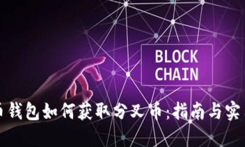 比特币钱包如何获取分叉币：指南与实用技巧