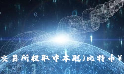 如何在TP交易所提取中本聪（比特币）：完整指南