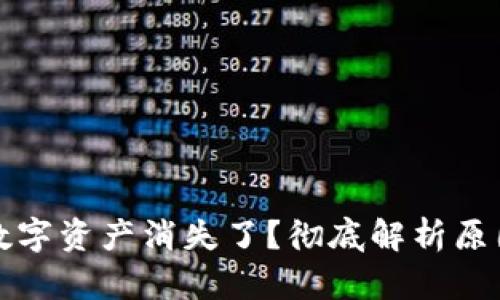 TP钱包里的数字资产消失了？彻底解析原因与解决方案