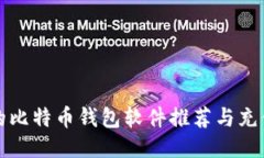 最好的比特币钱包软件推荐与充值指南