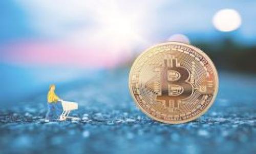 

如何获取虚拟币钱包权限：一步一步掌握基础与安全