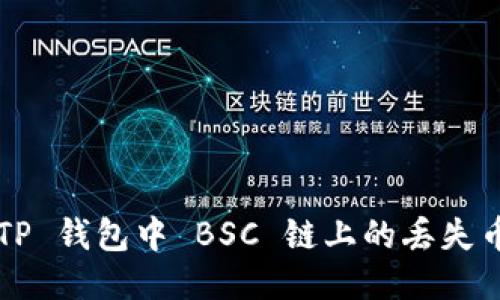 如何找回 TP 钱包中 BSC 链上的丢失币？详细指南